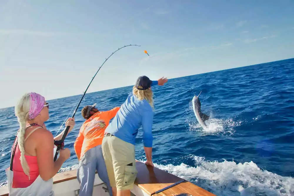 Fishing Charters Marathon FL