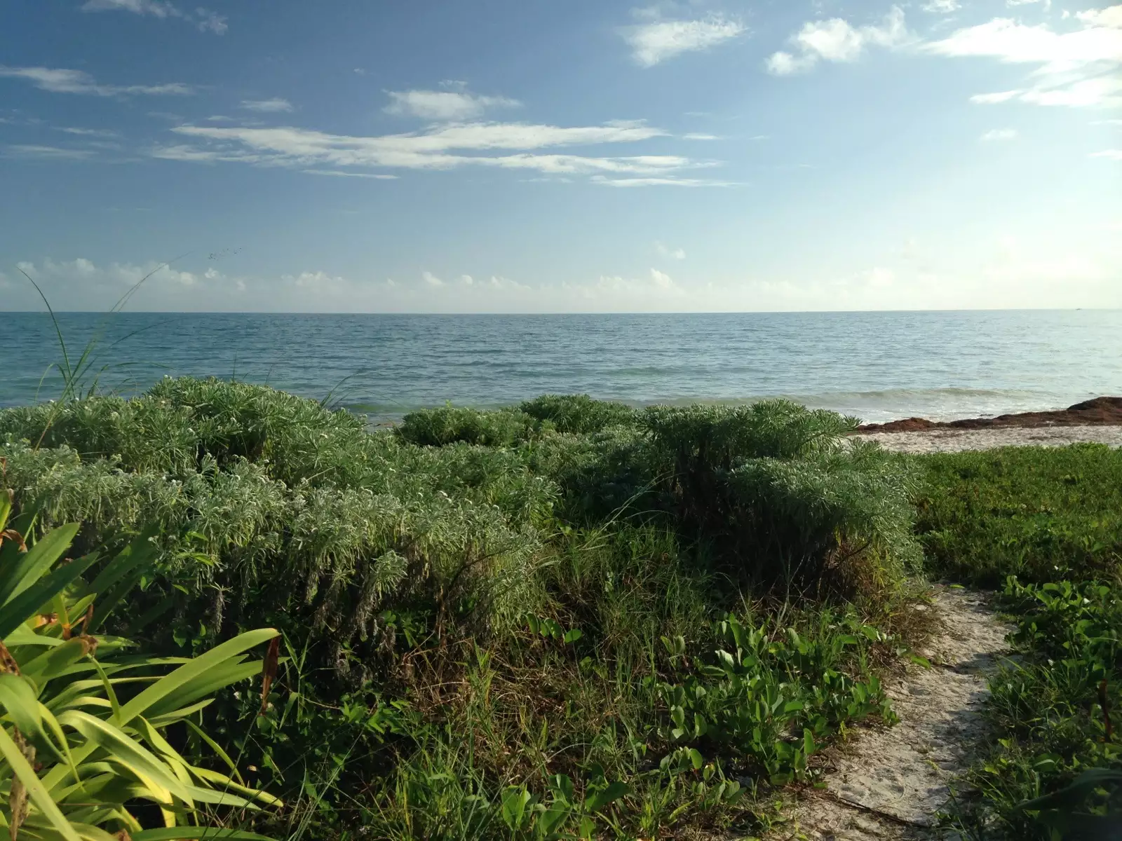 bahia honda state park 